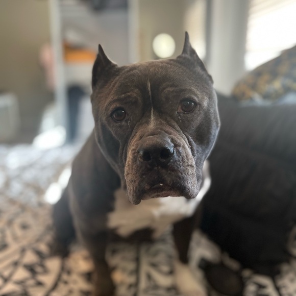 LIVE SHOW LISTING LIKE THIS TO BE NOTIFIED WHEN I GO LIVE!!!Tuesday - Wednesday - Picture 14 of 14